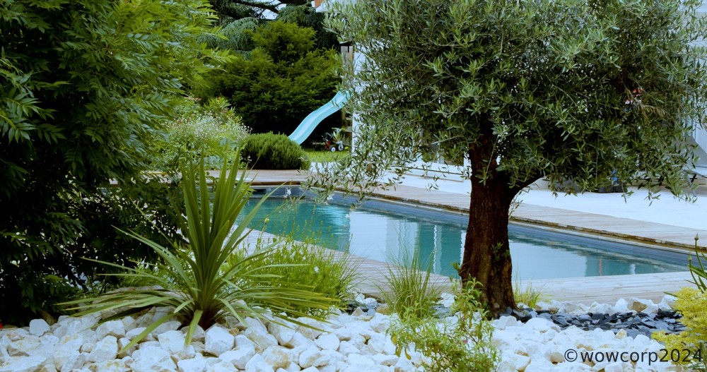 Jardin méditerranéen d'exception — piscine, cyprès, pierre naturelle